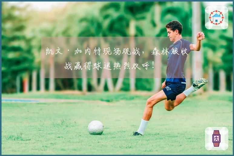 凯文·加内特现场观战，森林狼收官战赢得球迷热烈欢呼！