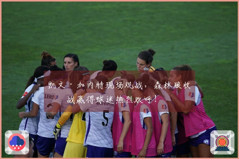 凯文·加内特现场观战，森林狼收官战赢得球迷热烈欢呼！