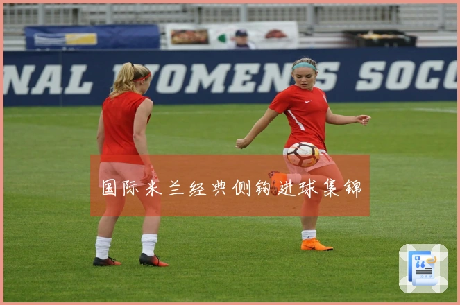 国际米兰经典侧钩进球集锦